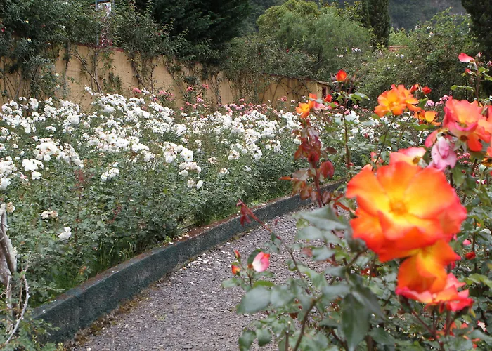 Otel Pestana Quinta Do Arco