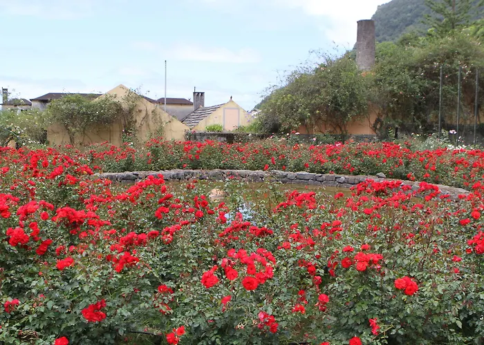 Pestana Quinta Do Arco Arco de São Jorge